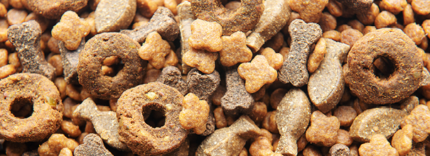 Teaser_markets_pet